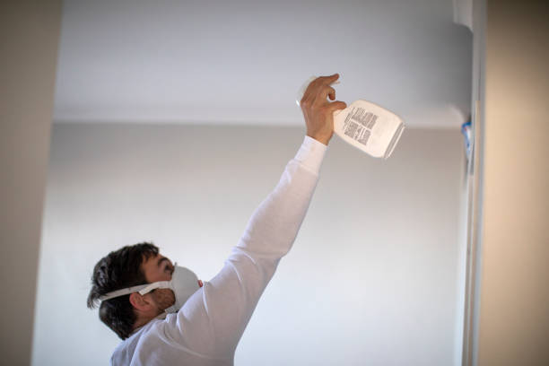 Best Residential Mold Remediation in Suffolk, VA