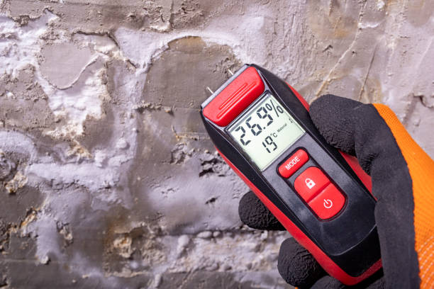 Best Post-Flood Mold Remediation in Suffolk, VA