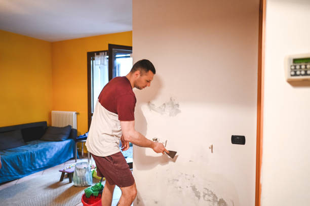 Best Post-Flood Mold Remediation in Suffolk, VA